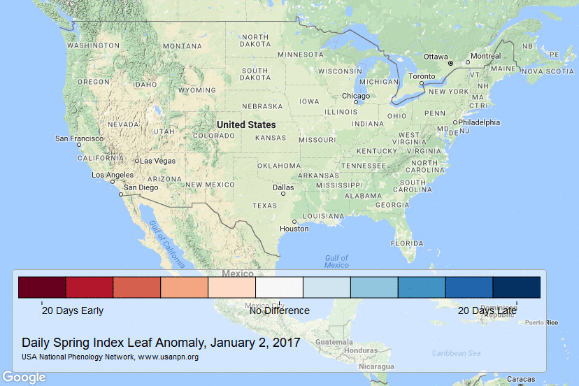 USA-NPN_Advance_of_Spring_-_weekly_animation_for_early_2017_1